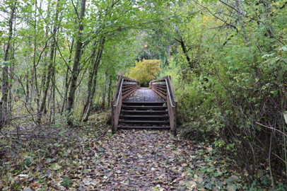 Sunnyside Road Trail leads to a metal bridge with steps on both ends and railing